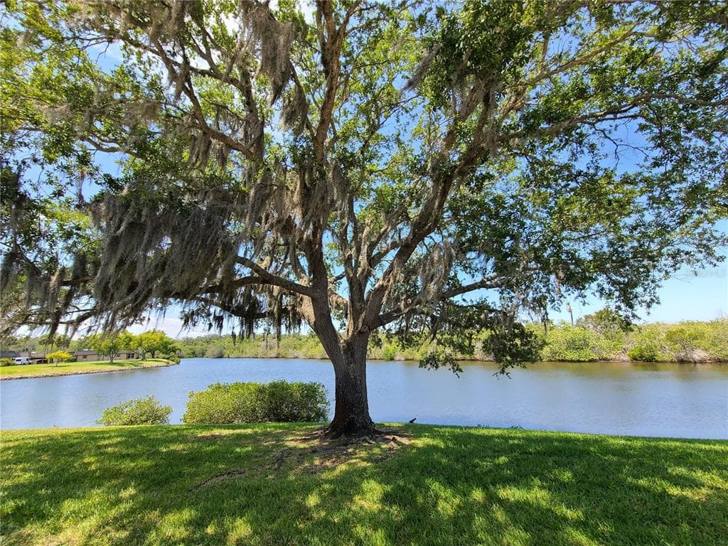 4120 STRATFORD DRIVE, NEW PORT RICHEY, FL 34652 — zdjęcie 4