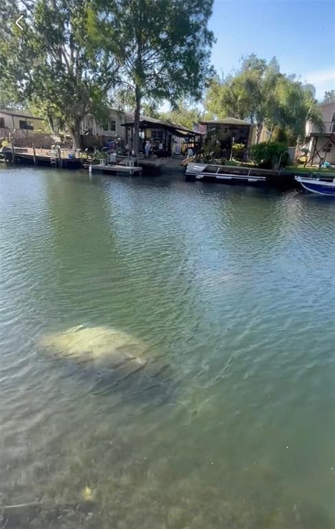 6419 W RICHARD DRIVE, WEEKI WACHEE, FL 34607 — zdjęcie 3