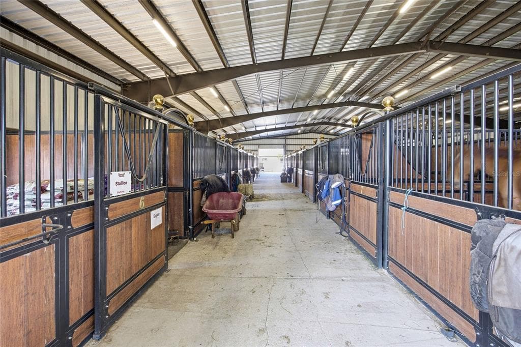 6025 NW 115TH AVENUE, OCALA, FL 34482 — zdjęcie 5