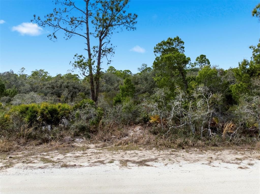 6705 BALSAM PLACE, SEBRING, FL 33875 — zdjęcie 4