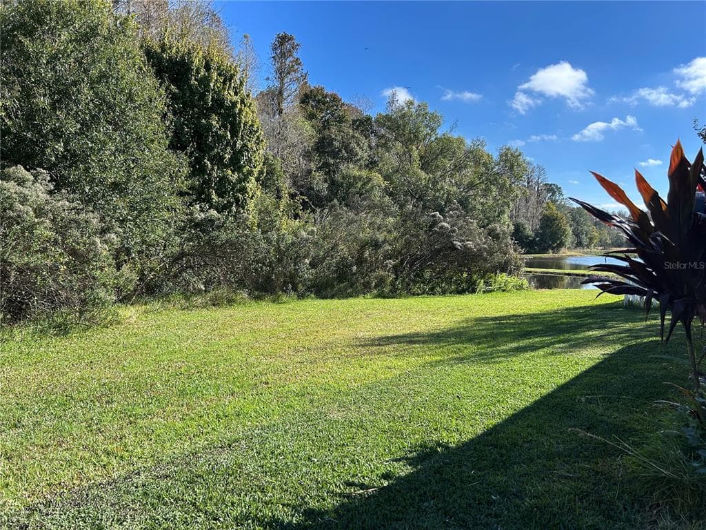 11695 CRESTRIDGE LOOP, NEW PORT RICHEY, FL 34655 — zdjęcie 5