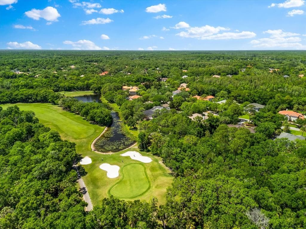 6413 MACLAURIN DRIVE, TAMPA, FL 33647 — zdjęcie 3