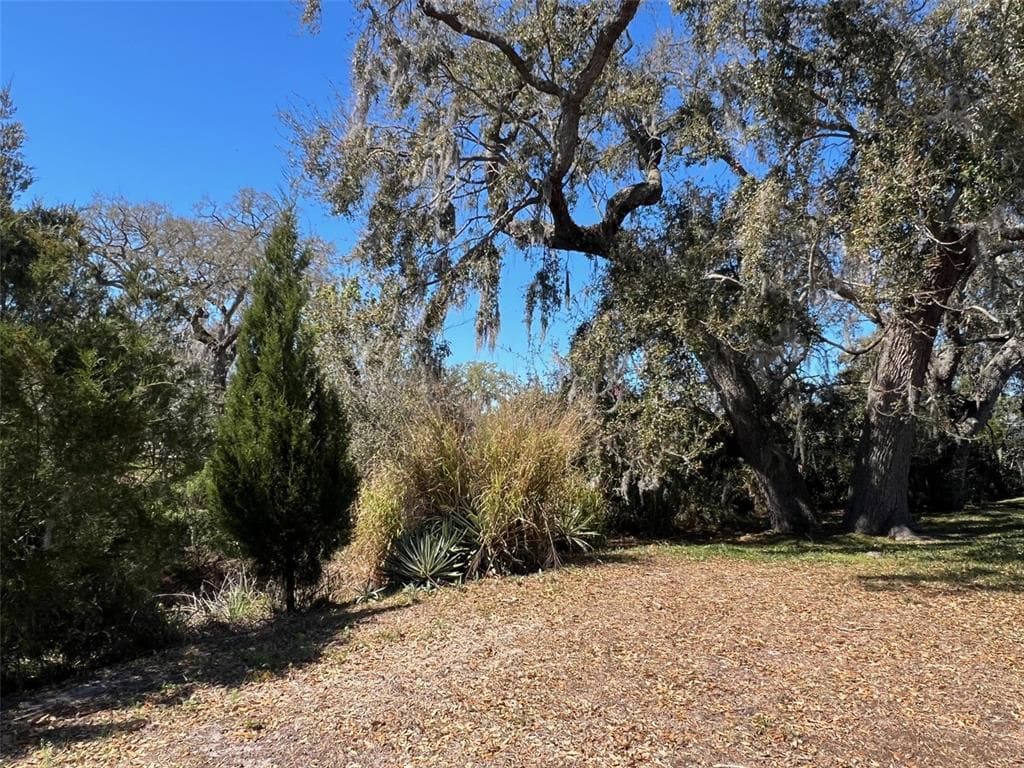 29250 US HIGHWAY 19 N # 300, CLEARWATER, FL 33761 — zdjęcie 5