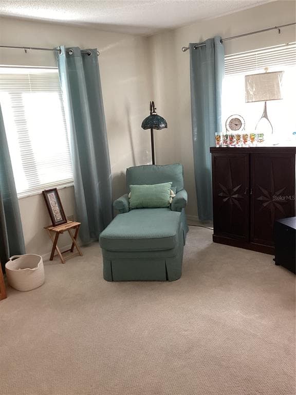 2512 LANCASTER DRIVE # 2512, SUN CITY CENTER, FL 33573 — zdjęcie 2