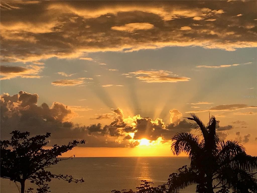 413 INT CAMINO MARTILLO BO PUNTAS, RINCON, PR 00677 — zdjęcie 5