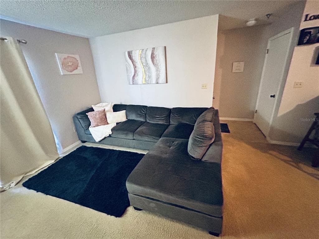 10265 GANDY BOULEVARD N # 1603, ST PETERSBURG, FL 33702 — zdjęcie 3