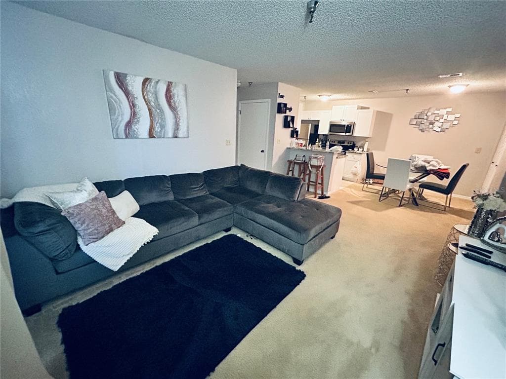 10265 GANDY BOULEVARD N # 1603, ST PETERSBURG, FL 33702 — zdjęcie 5