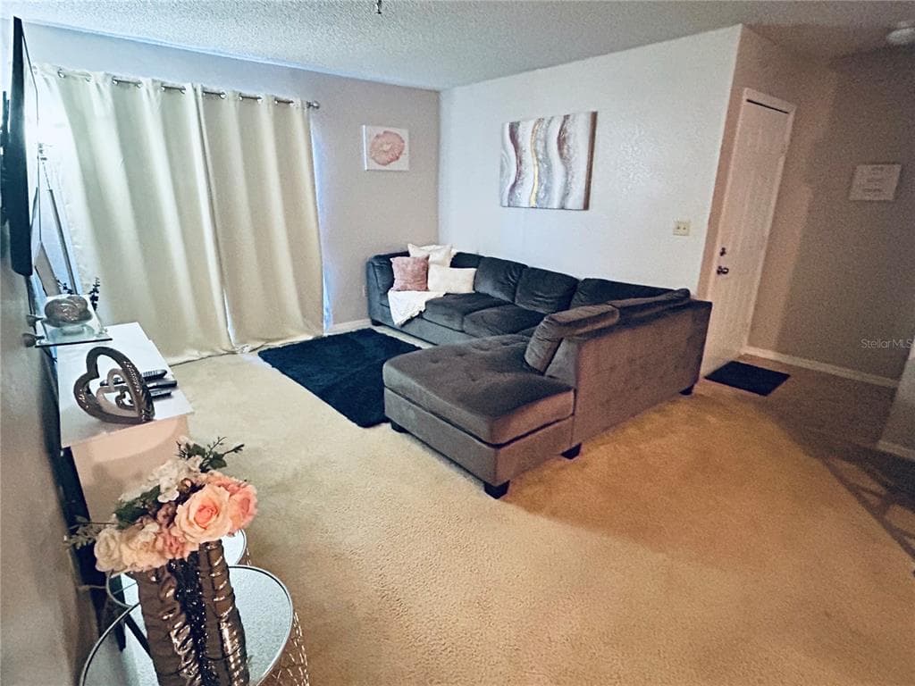 10265 GANDY BOULEVARD N # 1603, ST PETERSBURG, FL 33702 — zdjęcie 4