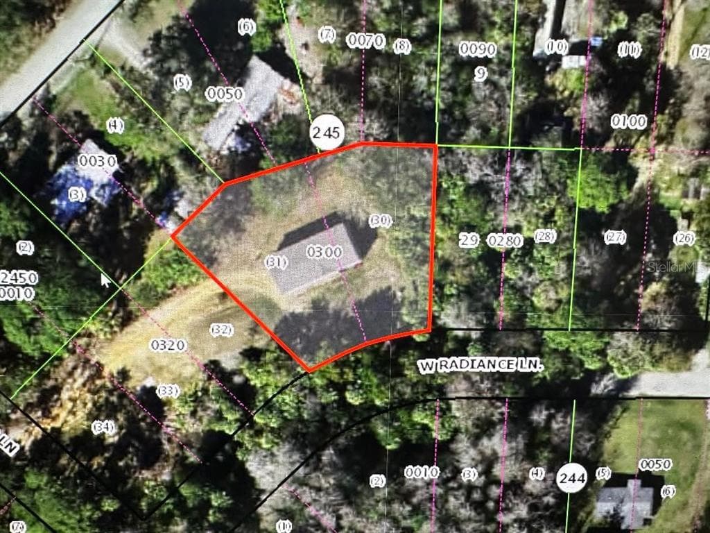 7697 W RADIANCE LANE, HOMOSASSA, FL 34448 — zdjęcie 4