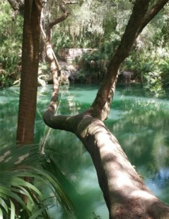 120 HIBISCUS WOODS COURT # 4B, DELTONA, FL 32725 — zdjęcie 3