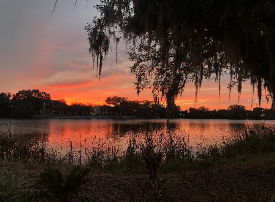 725 PENINSULAR DRIVE, LAKELAND, FL 33813 — zdjęcie 3