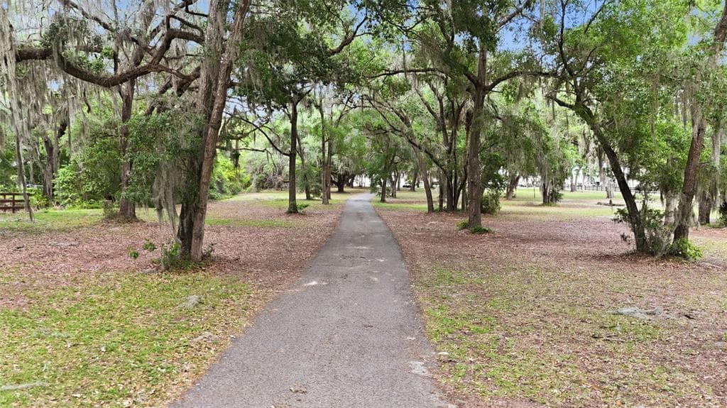 10639 SE SUNSET HARBOR ROAD, SUMMERFIELD, FL 34491 — zdjęcie 4