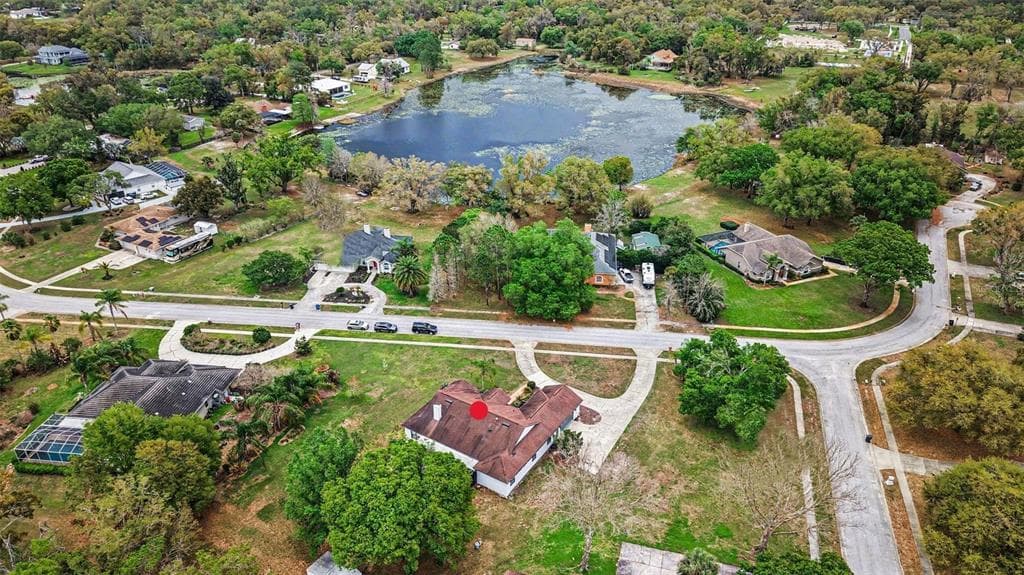 19216 RIDGELAKE DRIVE, LUTZ, FL 33549 — zdjęcie 5