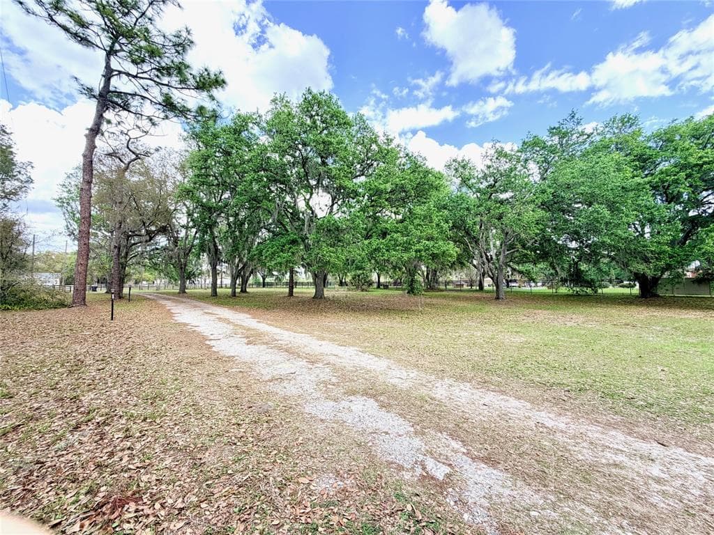 7001 W DORMANY ROAD, PLANT CITY, FL 33565 — zdjęcie 2