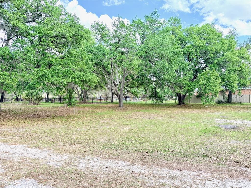 7001 W DORMANY ROAD, PLANT CITY, FL 33565 — zdjęcie 3