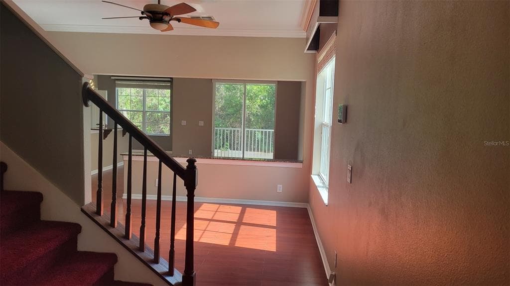 1443 HILLVIEW LANE, TARPON SPRINGS, FL 34689 — zdjęcie 4