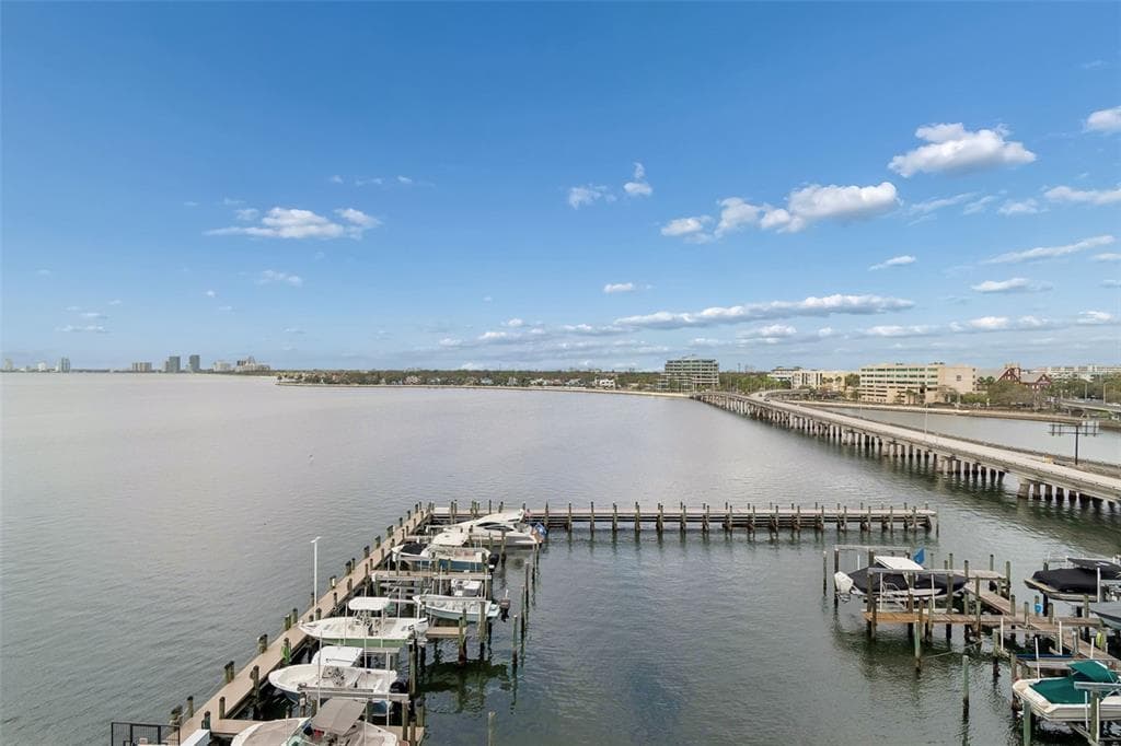 2 ADALIA AVENUE # 704, TAMPA, FL 33606 — zdjęcie 5