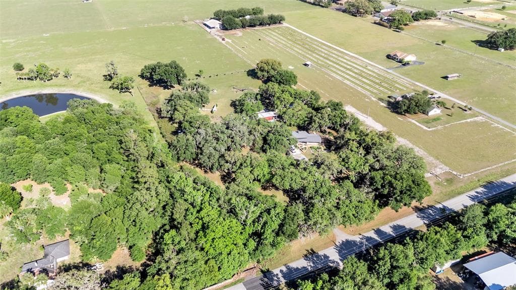 15300 LAKE IOLA ROAD, DADE CITY, FL 33523 — zdjęcie 5