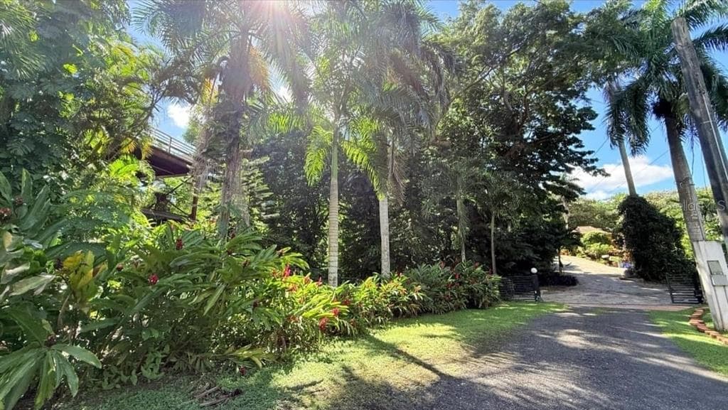 177 VANDA STREET, GUAYNABO, PR 00966 — zdjęcie 5