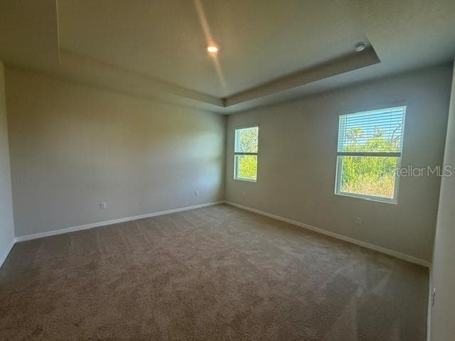 4321 SILVER BIRCH COURT, PALMETTO, FL 34221 — zdjęcie 4