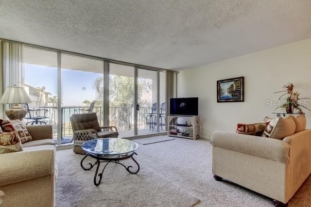 5155 ISLA KEY BOULEVARD S # 301, ST PETERSBURG, FL 33715 — zdjęcie 4