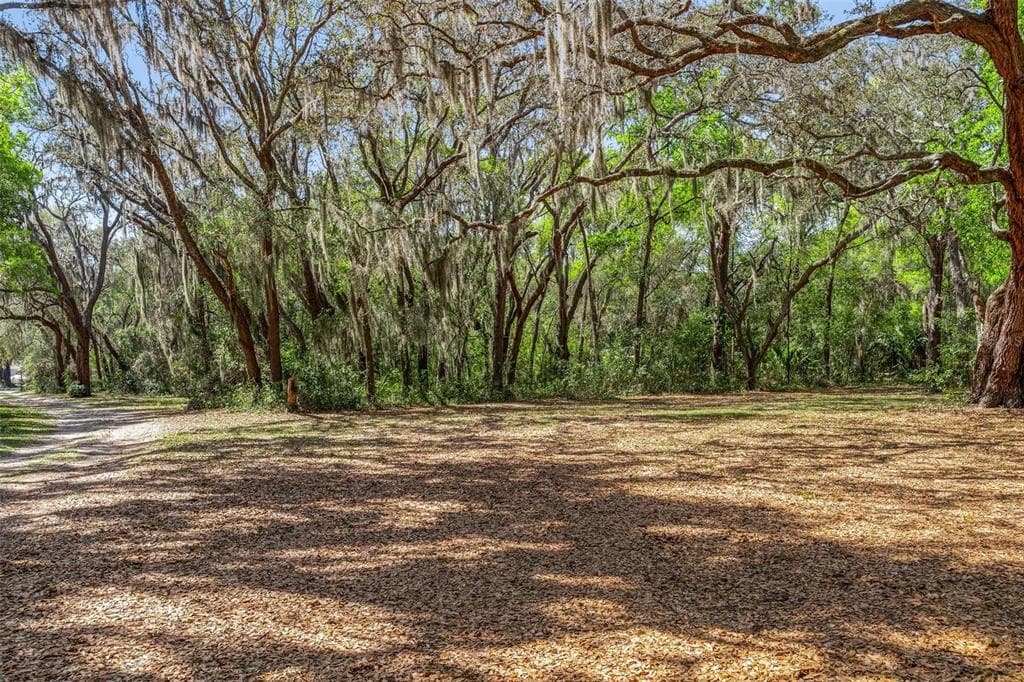2917 LAKE GRIFFIN ROAD, LADY LAKE, FL 32159 — zdjęcie 5