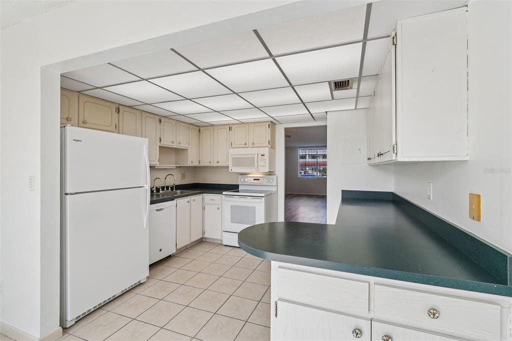 5095 BAY STREET NE # 110, ST PETERSBURG, FL 33703 — zdjęcie 5