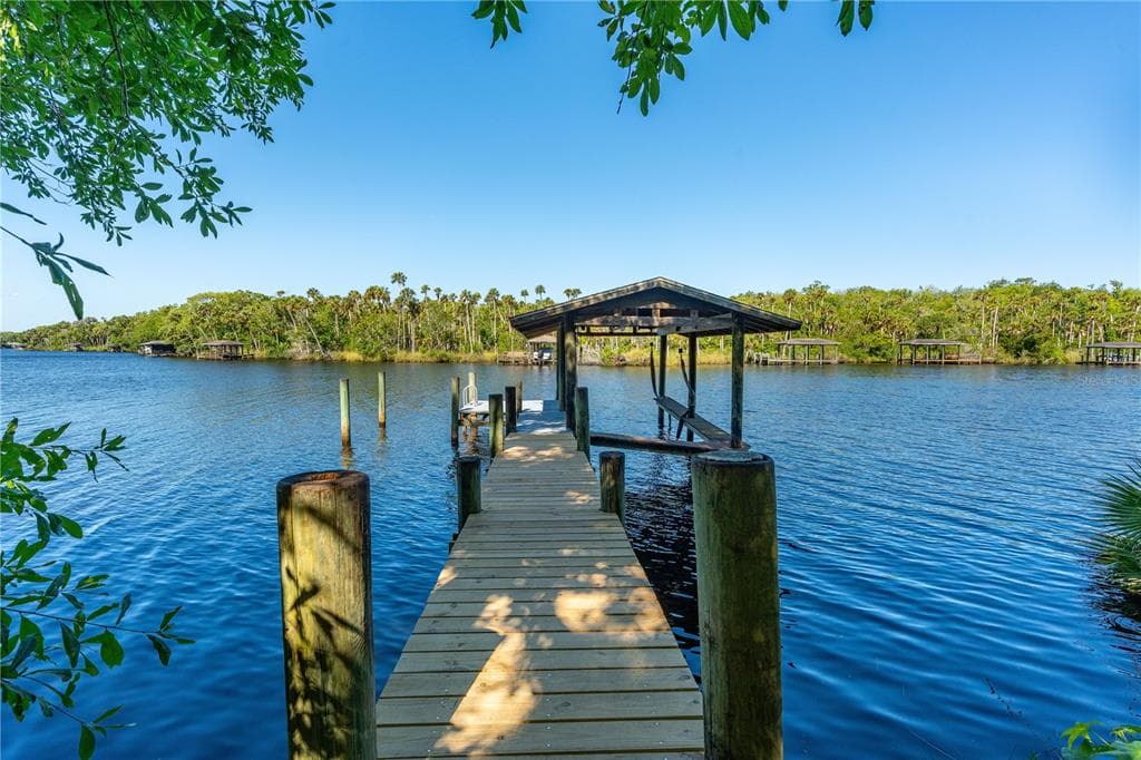 12 TIDEWATER DRIVE, ORMOND BEACH, FL 32174 — zdjęcie 5