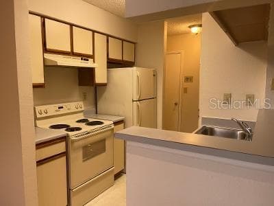 8653 MALLARD RESERVE DRIVE # 201, TAMPA, FL 33614 — zdjęcie 3