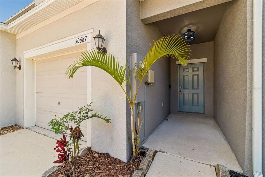 10687 LAKE MONTAUK DRIVE, RIVERVIEW, FL 33578 — zdjęcie 3