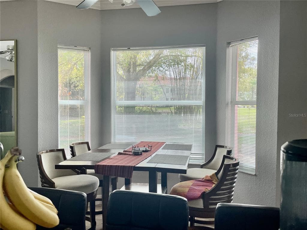 21007 LOS CABOS COURT, LAND O LAKES, FL 34637 — zdjęcie 5