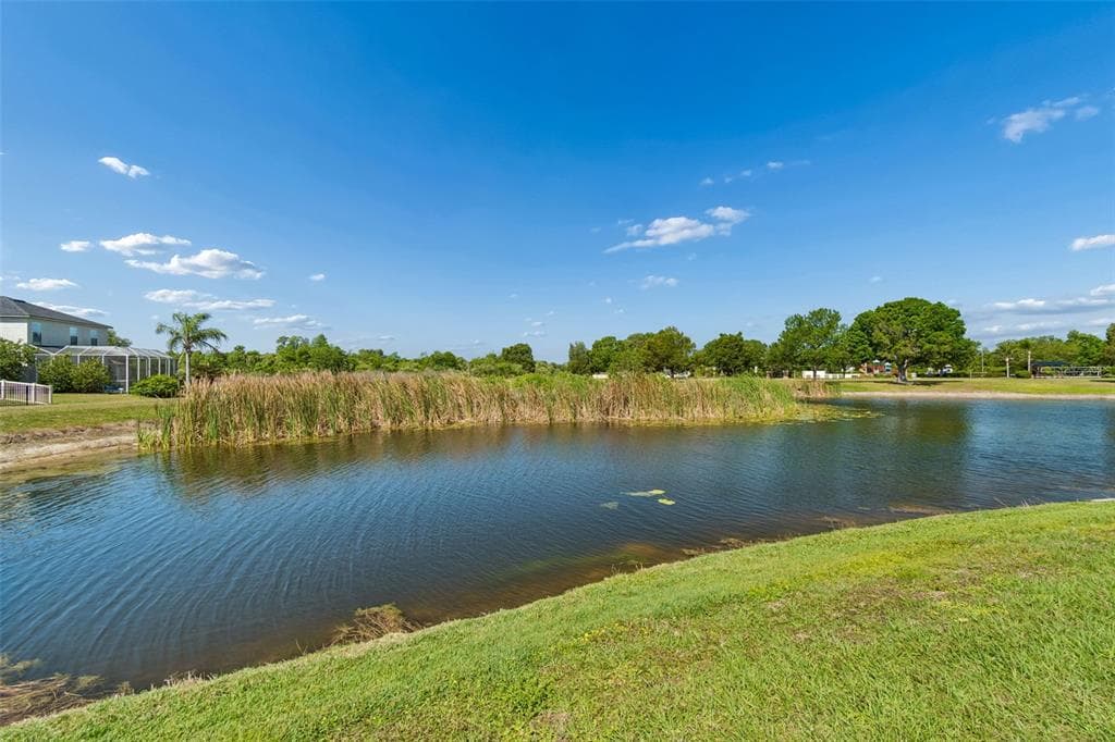 9515 SIMEON DRIVE, LAND O LAKES, FL 34638 — zdjęcie 2