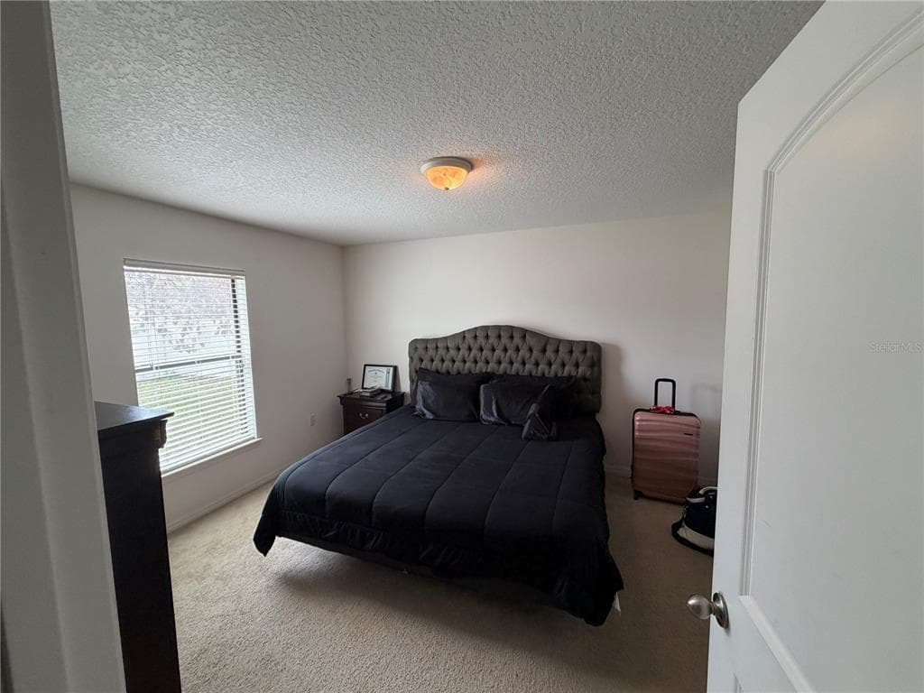 487 OCHO RIOS AVENUE, TAVARES, FL 32778 — zdjęcie 5