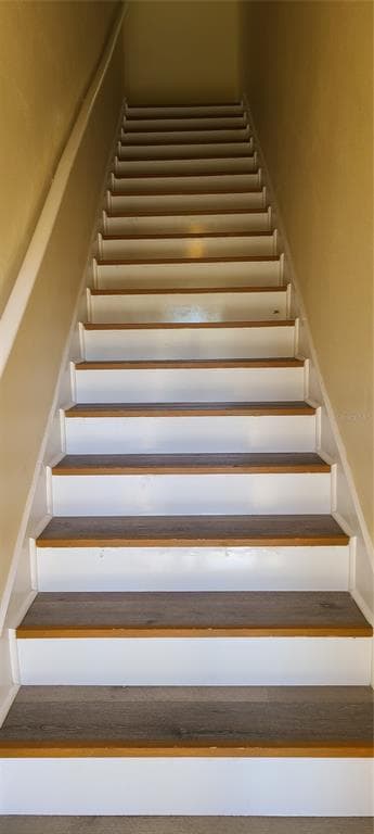 17902 VILLA CREEK DRIVE # 17902, TAMPA, FL 33647 — zdjęcie 5