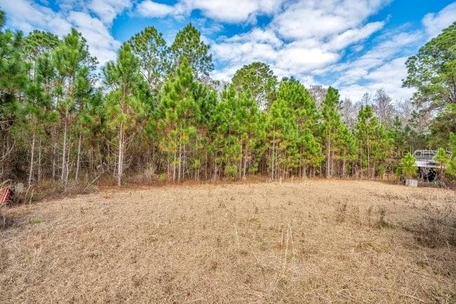 11535 MATTIODA ROAD, GROVELAND, FL 34736 — zdjęcie 4