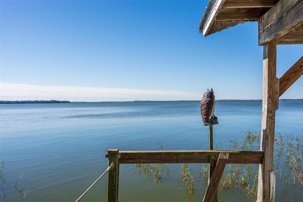10220 BUMBLEBEE LANE, LEESBURG, FL 34788 — zdjęcie 5