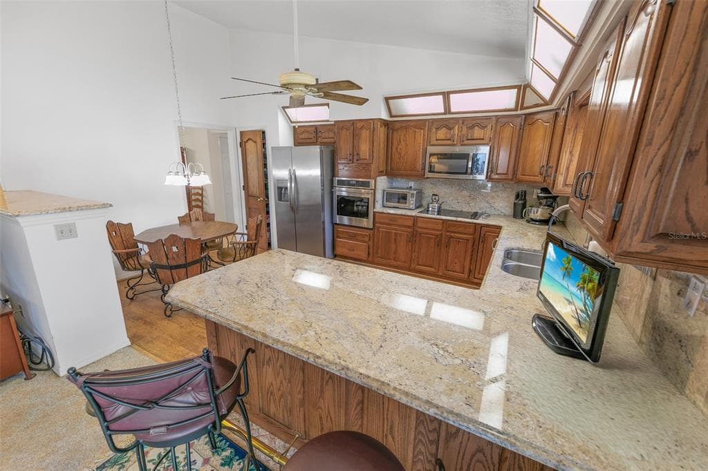 4801 S PENINSULA DRIVE, PONCE INLET, FL 32127 — zdjęcie 5