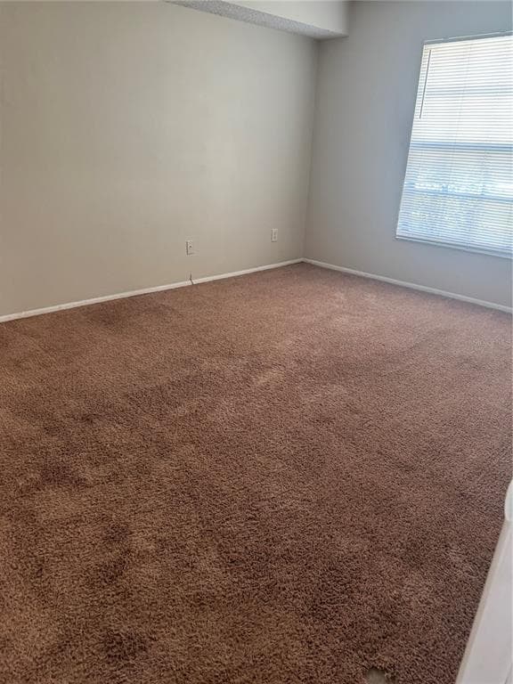 3028 BONAVENTURE CIRCLE # 103, PALM HARBOR, FL 34684 — zdjęcie 4