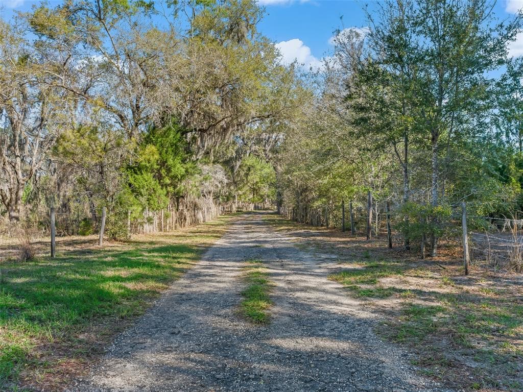 6350 NE 86TH AVENUE, BRONSON, FL 32621 — zdjęcie 4
