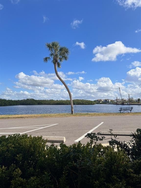 611 DESTINY DRIVE # 115, RUSKIN, FL 33570 — zdjęcie 2