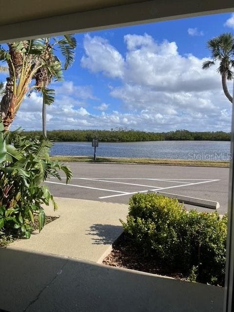 611 DESTINY DRIVE # 115, RUSKIN, FL 33570 — zdjęcie 3