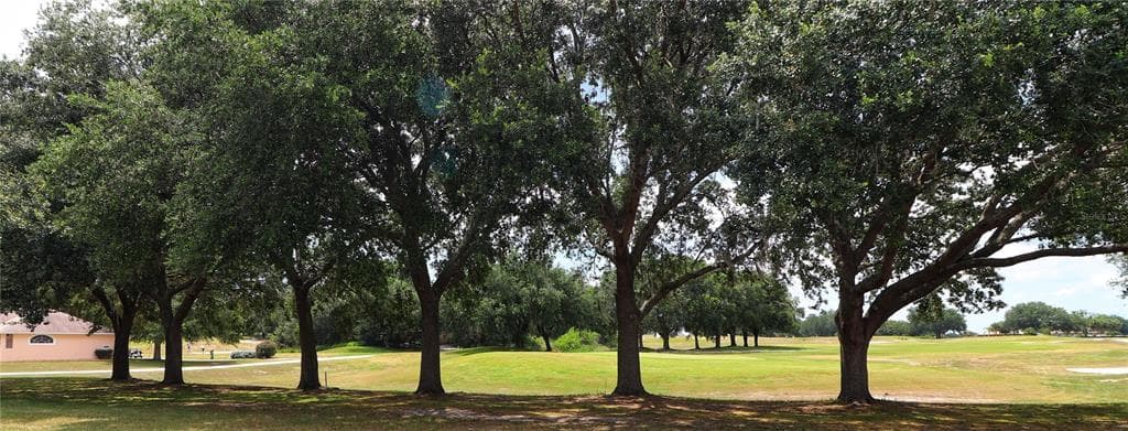 21300 ROYAL ST GEORGES LANE, LEESBURG, FL 34748 — zdjęcie 3