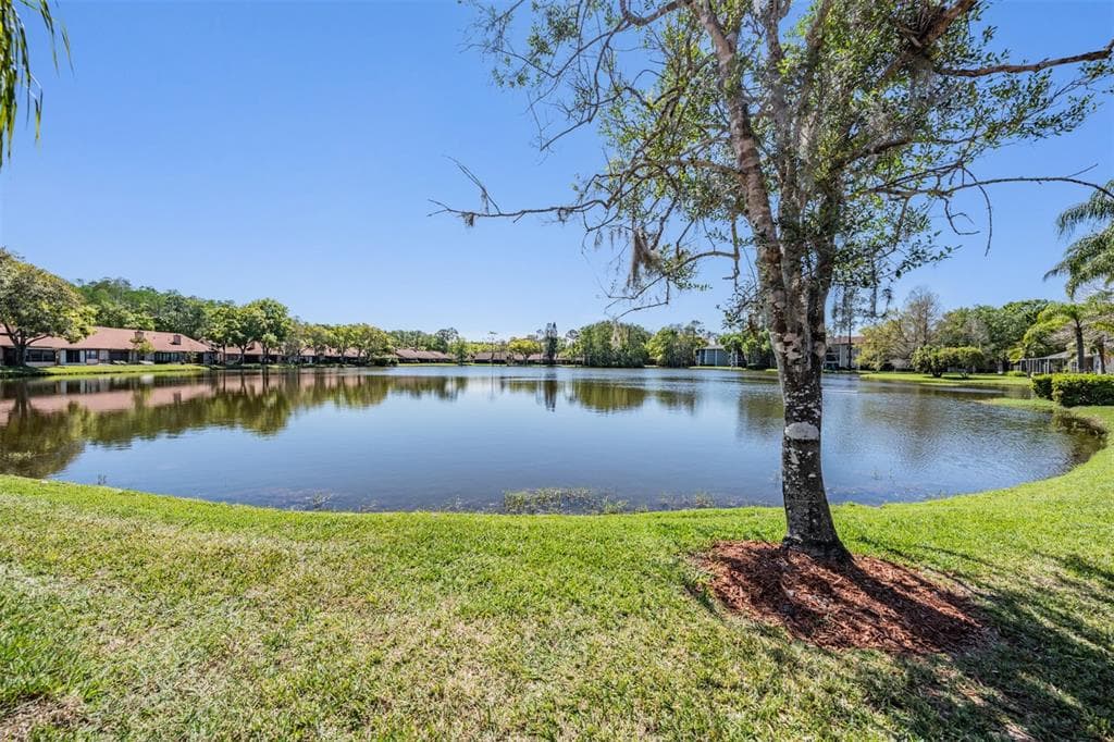 3960 MERMOOR DRIVE, PALM HARBOR, FL 34685 — zdjęcie 3