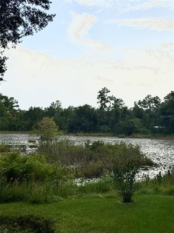5756 NE 165TH TERRACE ROAD, SILVER SPRINGS, FL 34488 — zdjęcie 2