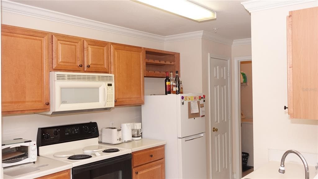 18281 BRIDLE CLUB DRIVE, TAMPA, FL 33647 — zdjęcie 4