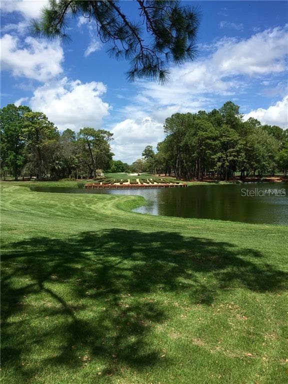 36750 US HIGHWAY 19 N # 2879, PALM HARBOR, FL 34684 — zdjęcie 3
