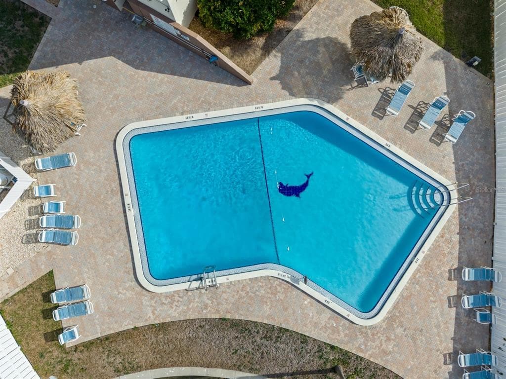 255 DOLPHIN POINT # 513, CLEARWATER BEACH, FL 33767 — zdjęcie 4
