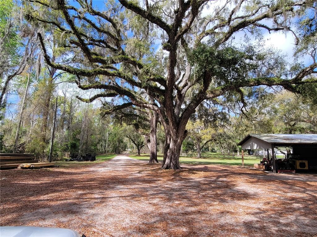 22397 MONDON HILL ROAD, BROOKSVILLE, FL 34601 — zdjęcie 5