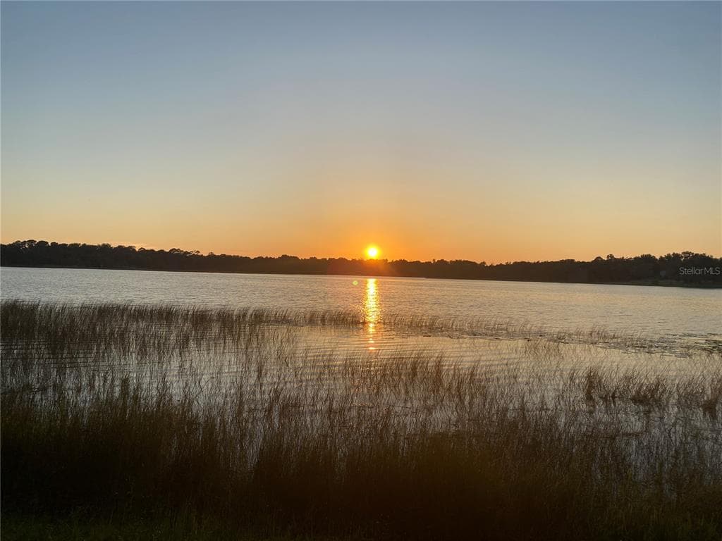 TBD LOT 01000 SILVER DRIVE, UMATILLA, FL 32784 — zdjęcie 3