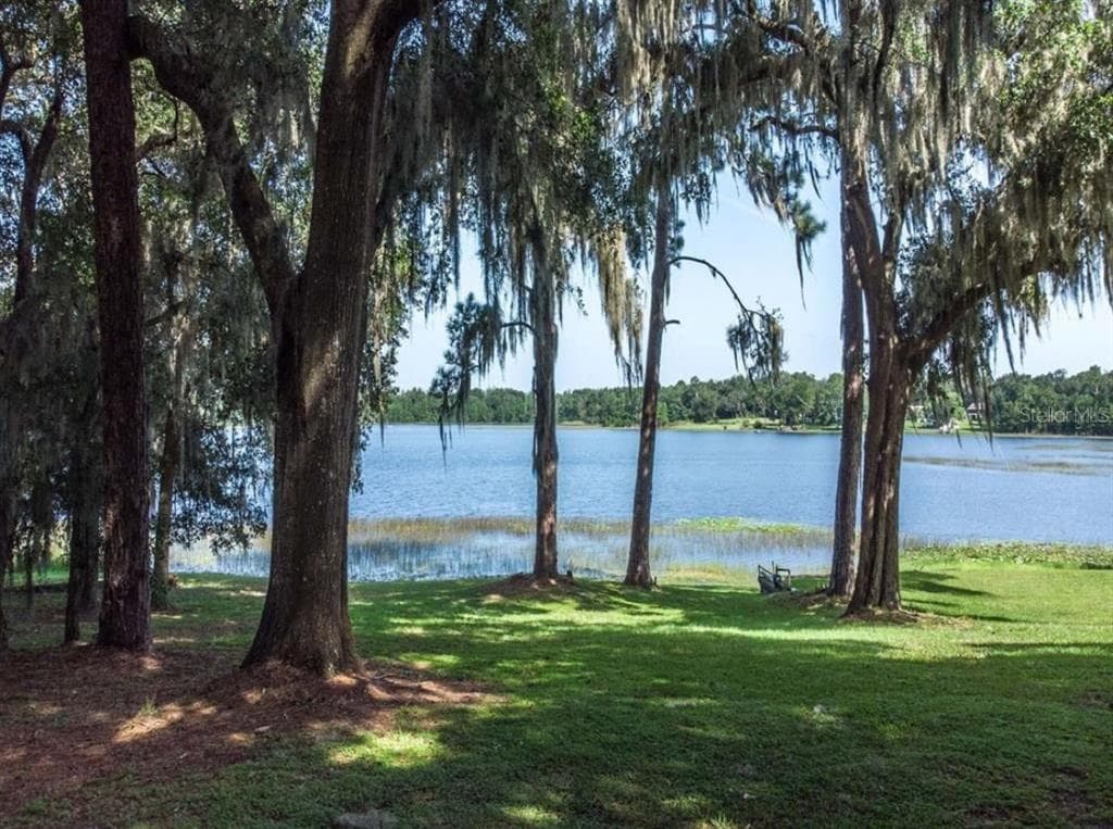 TBD LOT 01000 SILVER DRIVE, UMATILLA, FL 32784 — zdjęcie 5